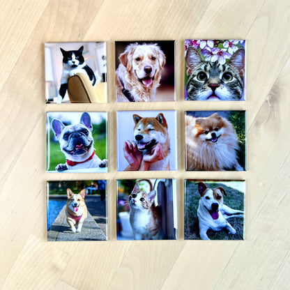Custom Photo Magnets